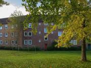 2 Zimmer 52 m² 519 € Kaltmiete Wohnungen in Kiel