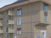 2 Zimmer, 53 m², EG