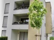 2 Zimmer 70 m² 840 € Kaltmiete Wohnungen in Koblenz