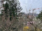 2 Zimmer Altbauwohnung mit Balkon und Gartennutzung