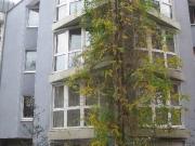 2 zimmer erdgeschosswohnung zur miete in düsseldorf...