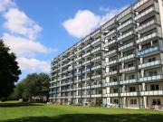 2 zimmer erdgeschosswohnung zur miete in kiel suchsdorf 2 zimmer erdgeschosswohnung zur miete in kiel suchsdorf