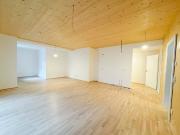 2 ZIMMER MIT BALKON IN ELISABETH VORSTADT ERSTBEZUG!