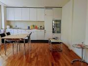 2½ Zimmer Studio in Zürich Kreis 9 Altstetten, möbliert