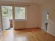 2 Zimmer Wohnung Anif, 43qm, ab sofort