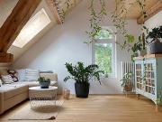 2½ Zimmer Wohnung in Altdorf UR, möbliert, auf Zeit