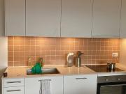 2½ Zimmer Wohnung in Carouge GE, möbliert, auf Zeit