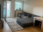 2 Zimmer Wohnung in Müllheim Oberstadt mit EBK neuwertig