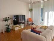 2½ Zimmer Wohnung in Zürich Kreis 3 Binz, möbliert, auf Zeit