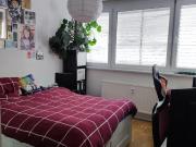 2 Zimmer Wohnung Leipzig Zentrum Süd