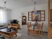 2 Zimmer Wohnung mieten in Dresden 01309 50 m²