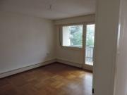 2 Zimmer Wohnung mit Einbauküche und Balkon in Horn