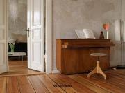 2 Zimmer Wohnung mit Pkw Stellplatz