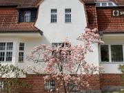 2 Zimmer Wohnung zur Miete in Berlin, Deutschland