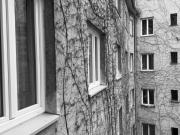 2 ZimmerWohnung Nähe Schwedenplatz