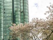 2bed 2bath Rent In Coal Harbour