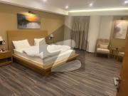 2bed room full furnished apartment in active block...