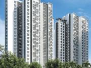 2BHK for sale in Godrej Forest Grove, Pimpri Chinchwad,...