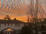 2BR/1.0BA N0131 Claremont Apartments