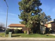 2BR/1.5BA Isla Verde Dr 4305