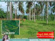 2M 3 hectares coconut farm 30 mins from San Vicente Airport