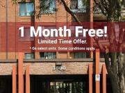 3000 Victoria Park Ave 1 Bedroom Apartment for Rent