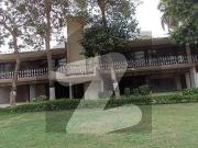 3000 Yards Independent Bungalow For Rent For Office Use