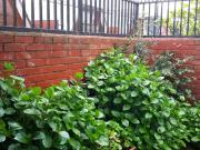 $ 300.000 Departamento en Arriendo en Temuco 1...