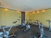 300 Front St W 1 Bedroom