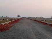 300 Sq.Yd. Plot in Kankipadu Vijayawada Listing ID #8662