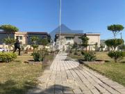 300 Sq Yds, Available For Urgent Sale, At Afohs Falcon...