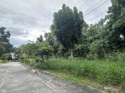 300 sqm Lot Flat Terrain for sale in Northcrest,...
