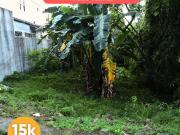 300 sqm Lot in Palos Verdes BELOW Market Value!