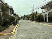 300 sqm QC property for sale Congressional Visayas Ave area