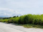 300 sqm Residential/Commercial Lot in Acropolis Loyola,...