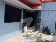 300 Yards Independent Bungalow Office For RENT