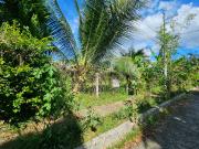 300sqm RESIDENTIAL LOT WITH FRUIT TREES FOR SALE Elenita...