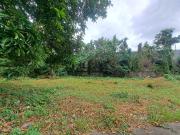 302 sqm. Residential Lot For Sale in Binan Laguna near...