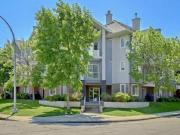 305 3501 15 Street SW Calgary Alberta