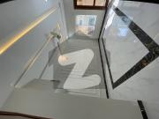 30*60 Ground Portion Available For Rent G 13/2 Like New