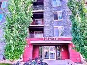 #306 12045 22 Avenue Southwest