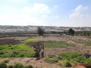 30,000 M2 ZRE VENTANILLA  JUNTO ALMACENES DEL NORTE ADN