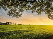 30.000 m² Bauerwartungsland in Top Lage Treibach...