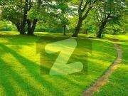 30 Acer Land Available On Main Jati Umrah Road With...