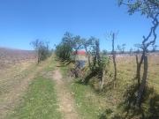 30 hectareas en venta, tenerias catzuqui de velazc