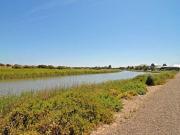 30 Hindmarsh Circuit, Mawson Lakes, SA 5095