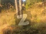 30 Kanal Land For Sale At Beautiful Location Top View...