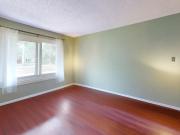 310 10250 116 Street Northwest 1 Bedroom Apartment for...