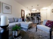 310 at Nulu Apartments Traub