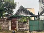 310 sqm. Commercial/Residential Lot with improvements...